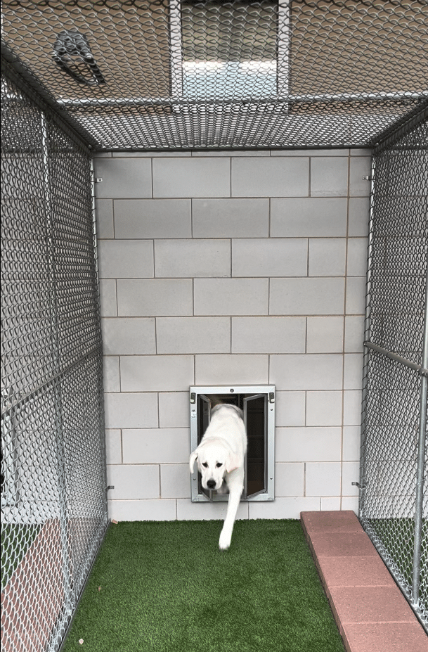 Pet Fence Canada photo 5